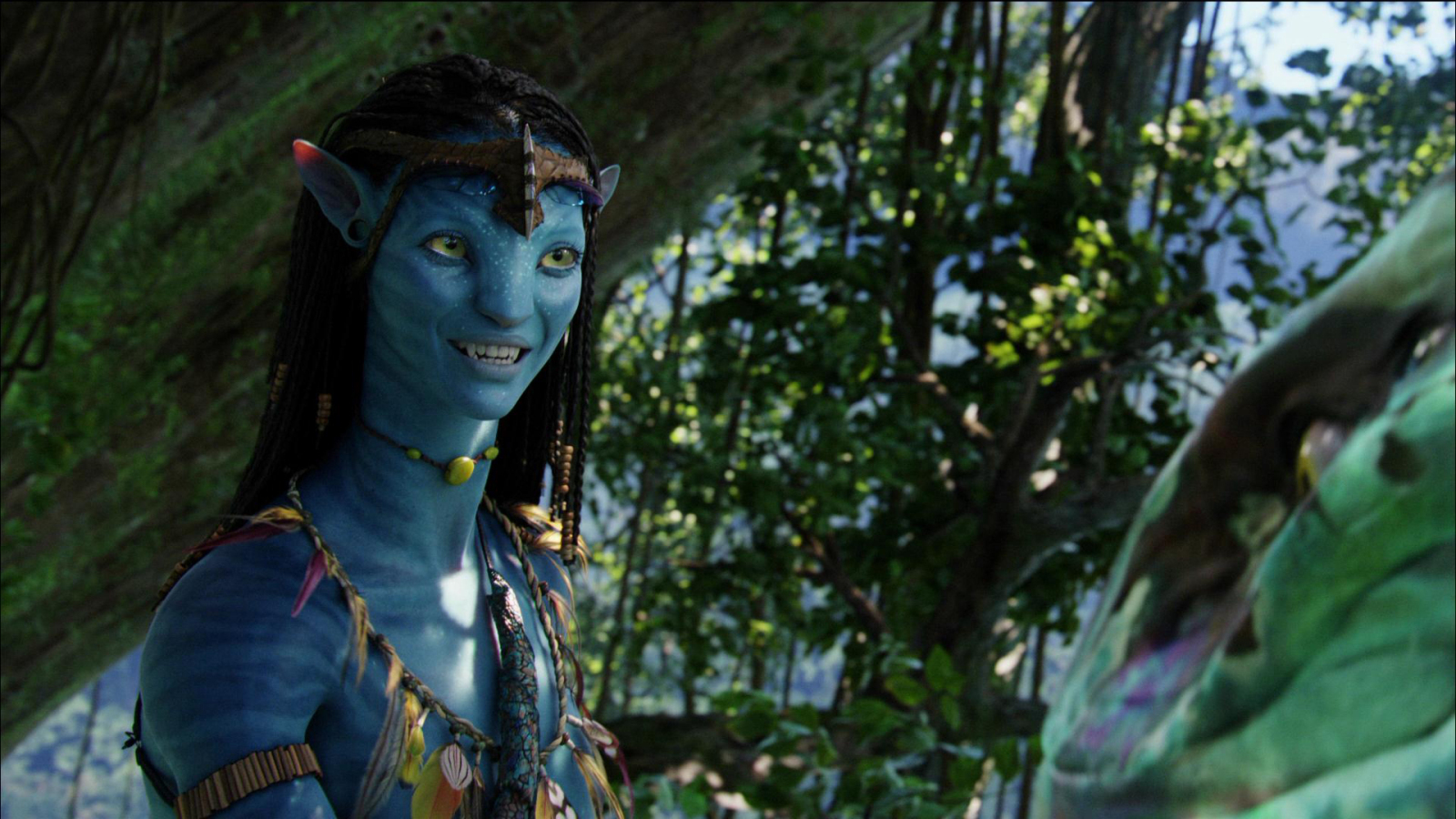 Photo from Avatar Film